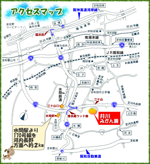 井川みかん園までのアクセスマップです！