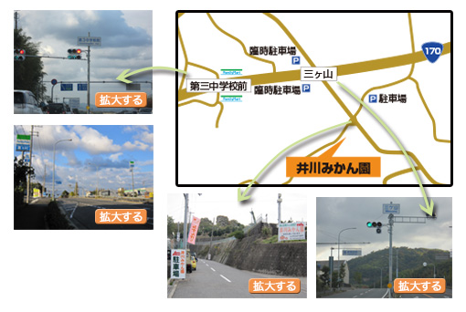 井川みかん園までのアクセスマップです！